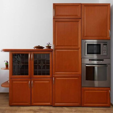 Przyjazny Apartament W Bedzinie المظهر الخارجي الصورة